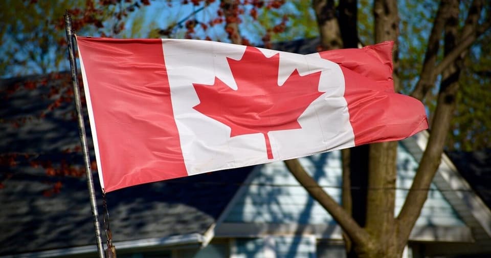 Canadian flag waving in the wind on a tree